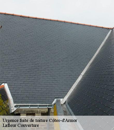 Urgence fuite de toiture 22 Côtes-d'Armor  Lafleur Couverture