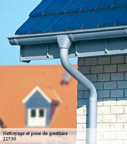 Nettoyage et pose de gouttière  saint-guen-22530 Lafleur Couverture