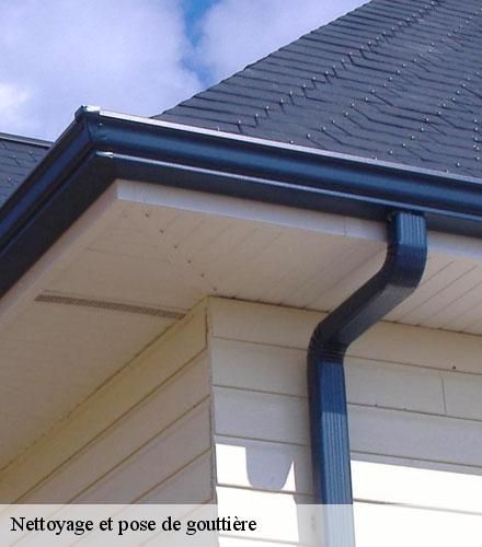 Nettoyage et pose de gouttière  le-vieux-marche-22420 Lafleur Couverture