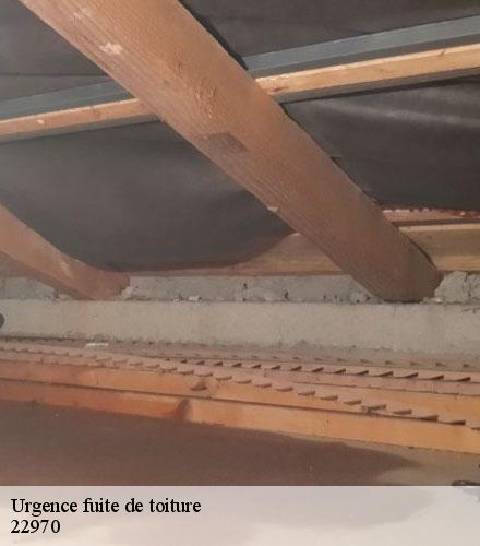 Urgence fuite de toiture  coadout-22970 Lafleur Couverture