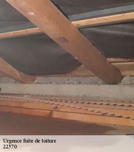 Urgence fuite de toiture  gouarec-22570 Lafleur Couverture