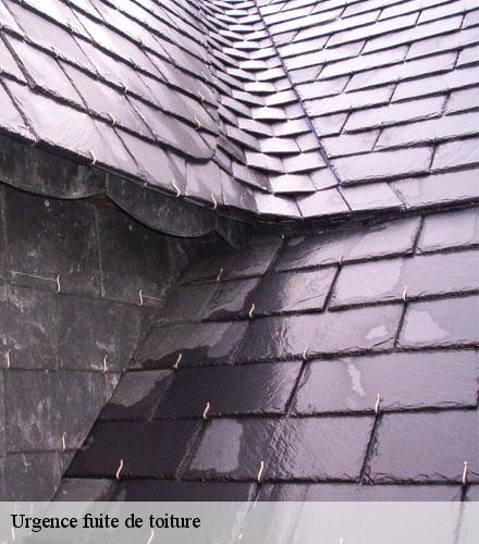 Urgence fuite de toiture  guenroc-22350 Lafleur Couverture