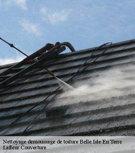 Nettoyage demoussage de toiture  belle-isle-en-terre-22810 Lafleur Couverture