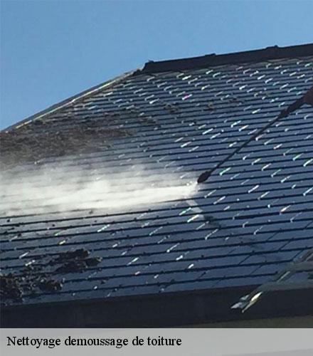 Nettoyage demoussage de toiture  gausson-22150 Lafleur Couverture