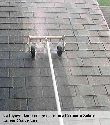 Nettoyage demoussage de toiture  kermaria-sulard-22450 Lafleur Couverture