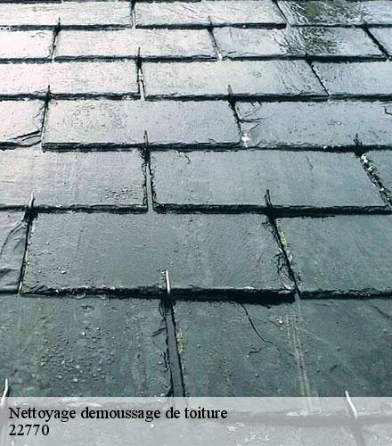 Nettoyage demoussage de toiture  lancieux-22770 Lafleur Couverture