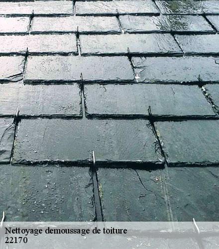 Nettoyage demoussage de toiture  lanrodec-22170 Lafleur Couverture