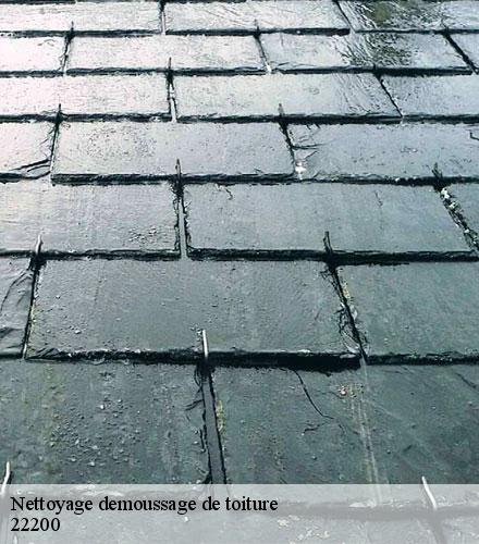 Nettoyage demoussage de toiture  pommerit-le-vicomte-22200 Lafleur Couverture