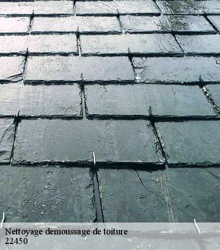 Nettoyage demoussage de toiture  la-roche-derrien-22450 Lafleur Couverture