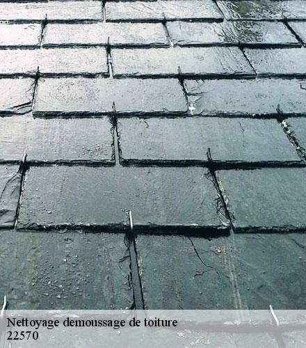 Nettoyage demoussage de toiture  saint-gelven-22570 Lafleur Couverture