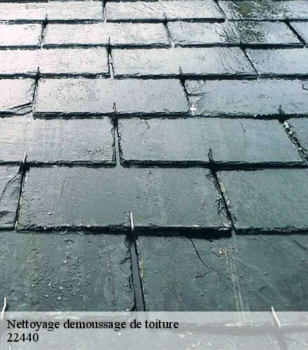 Nettoyage demoussage de toiture  les-croix-22440 Lafleur Couverture