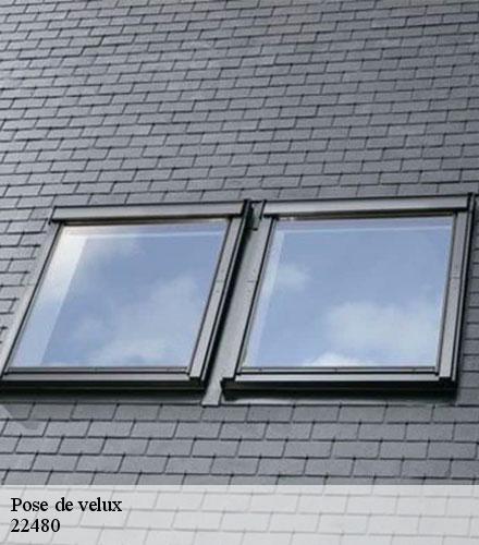 Pose de velux  lanrivain-22480 Lafleur Couverture