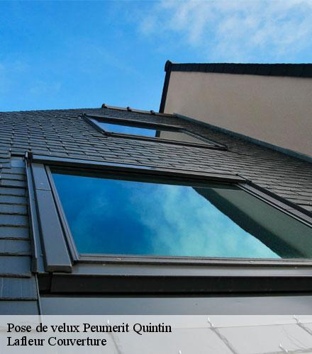 Pose de velux  peumerit-quintin-22480 Lafleur Couverture