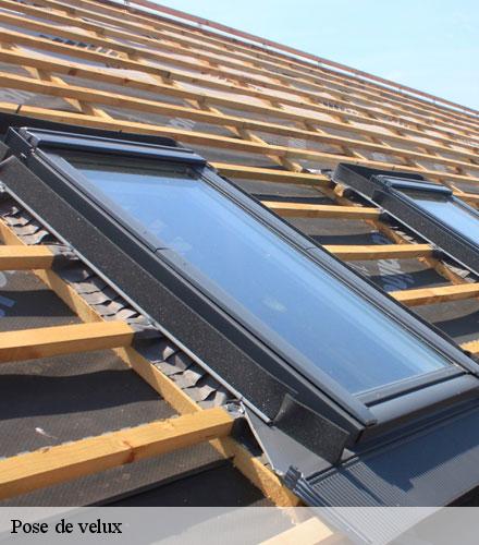 Pose de velux  la-clarte-22700 Lafleur Couverture
